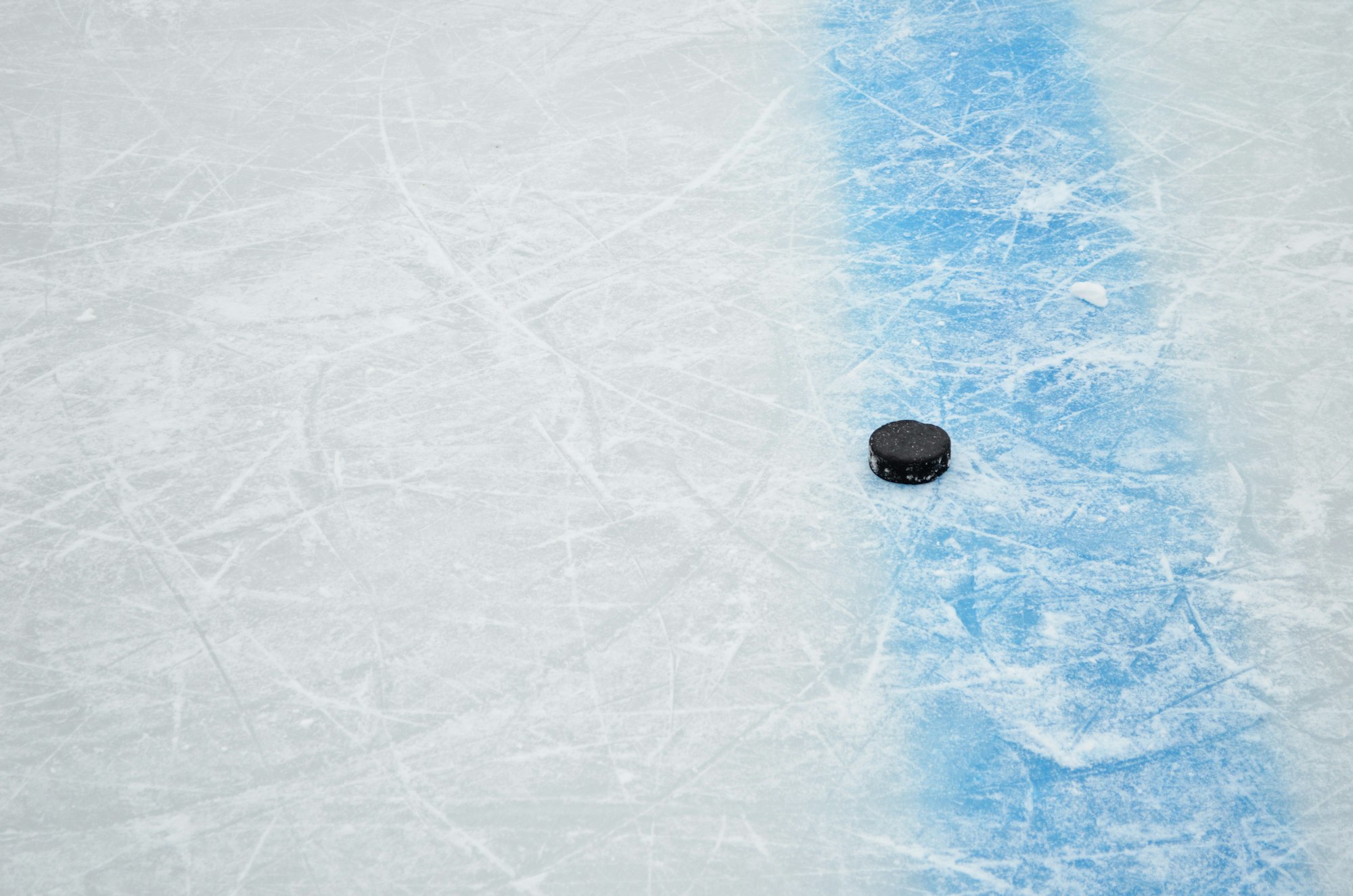 hockey puck
